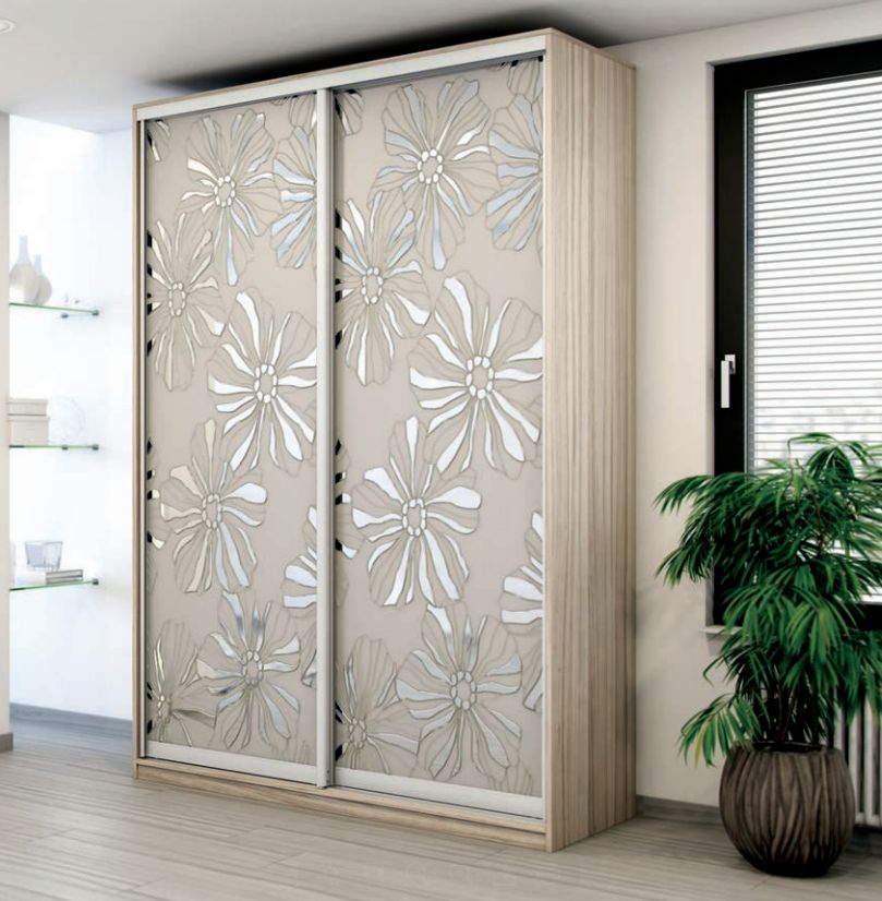 Шкаф-купе с рисунком корпусный.