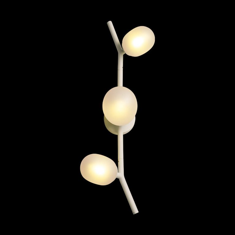 Фото 10212W White - 4