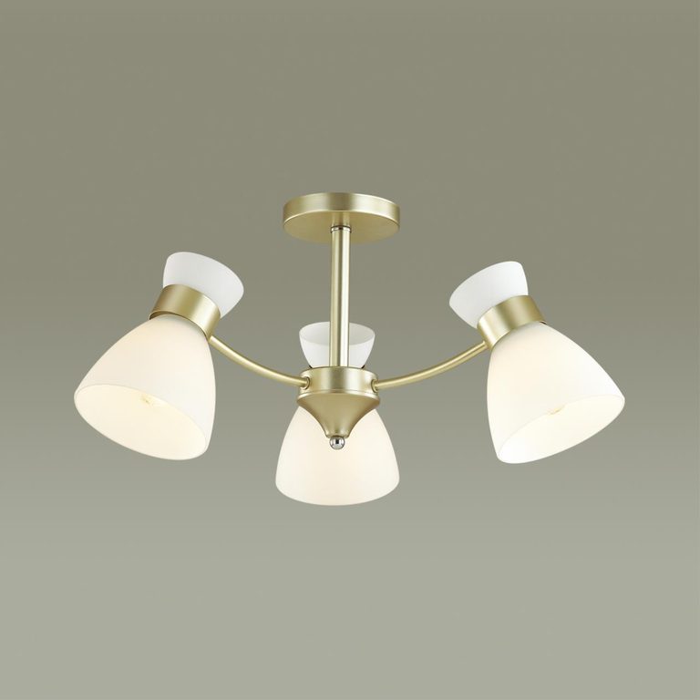 Фото 4535/3C - 3