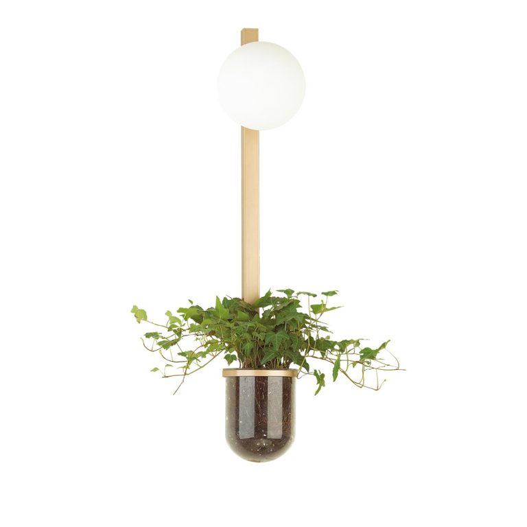 Фото 4682/1WB - 1