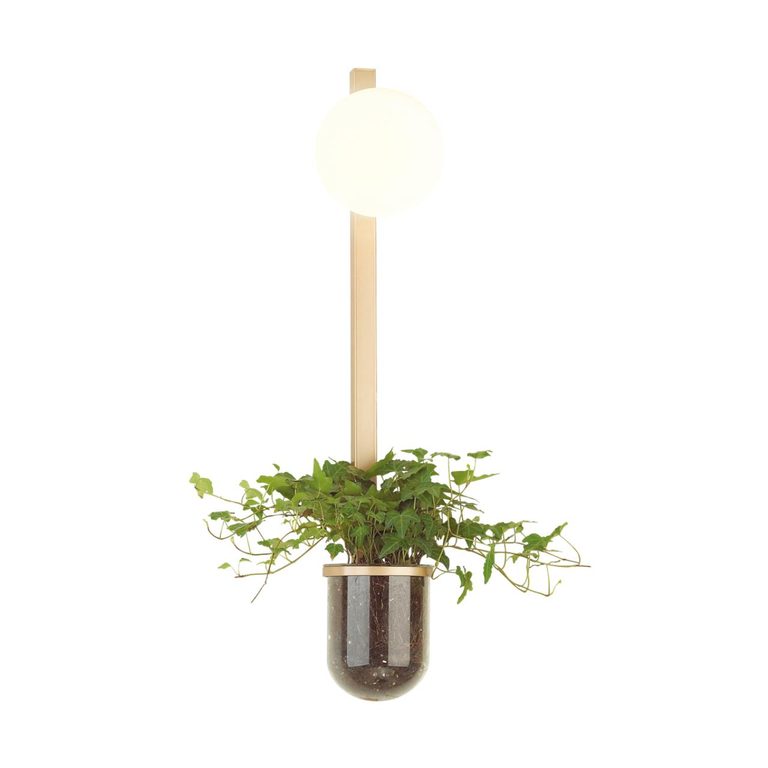 Фото 4682/1WB - 4