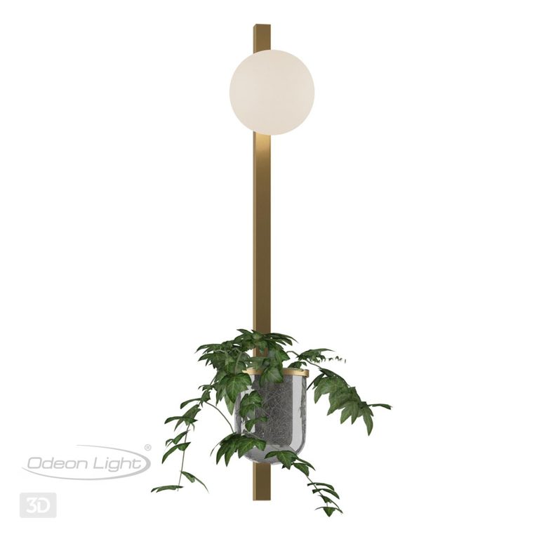 Фото 4682/1WB - 5