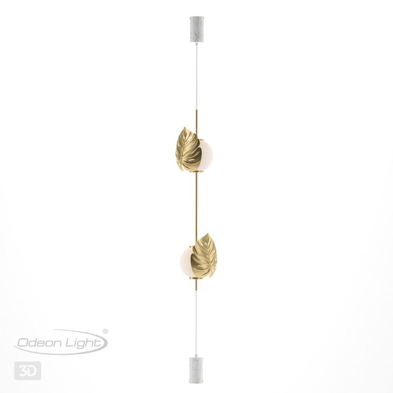 Фото 4864/2FC - 5