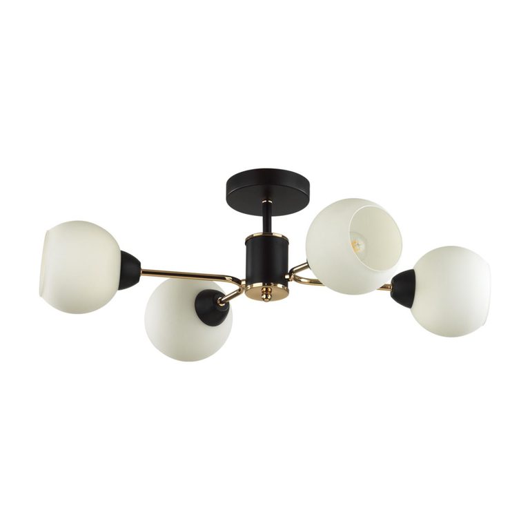 Фото 5646/4C - 1