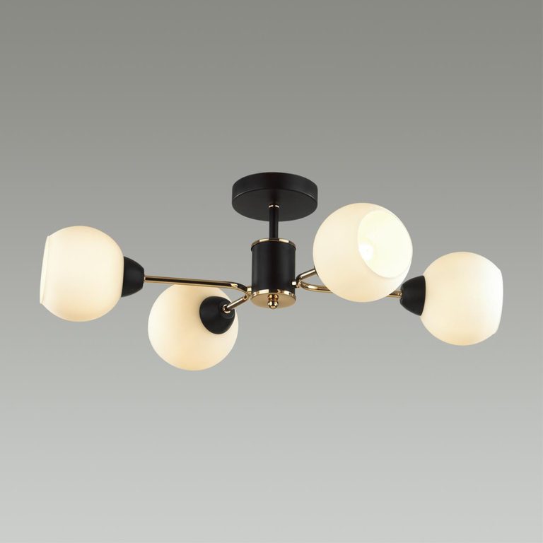 Фото 5646/4C - 3