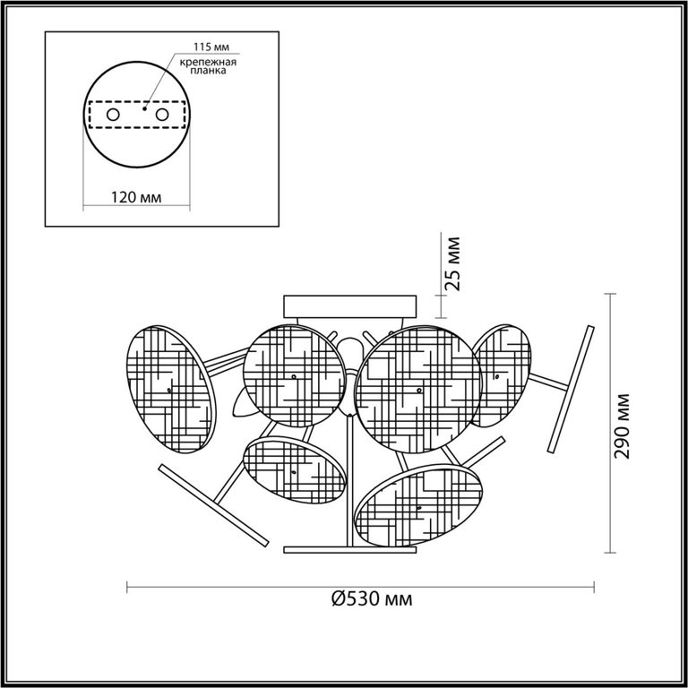 Фото 6553/6C - 2