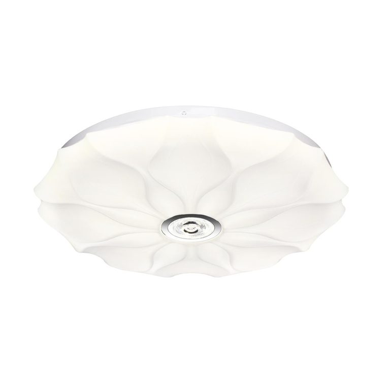 Фото 7688/DL - 5