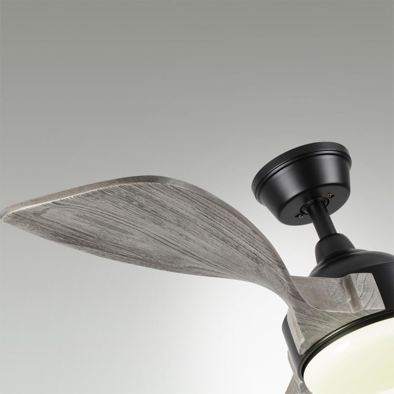 Фото 7702/24L - 5