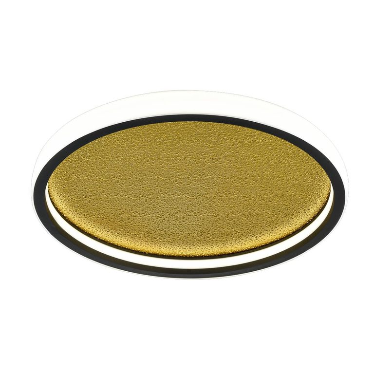 Фото 7736/60L - 6