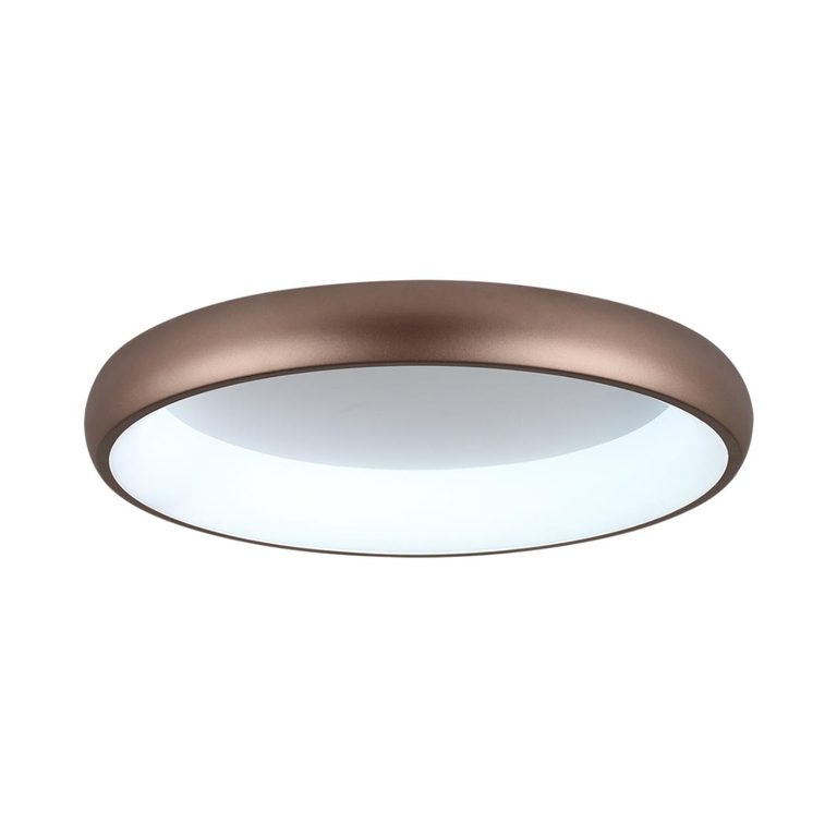 Фото 7773/56L - 8