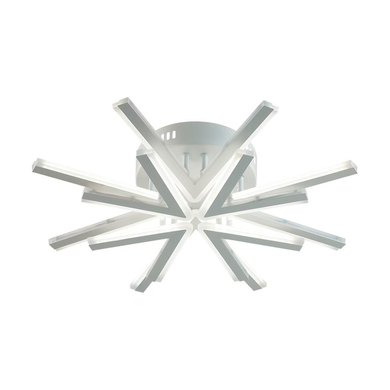 Фото 8029/65CL - 7