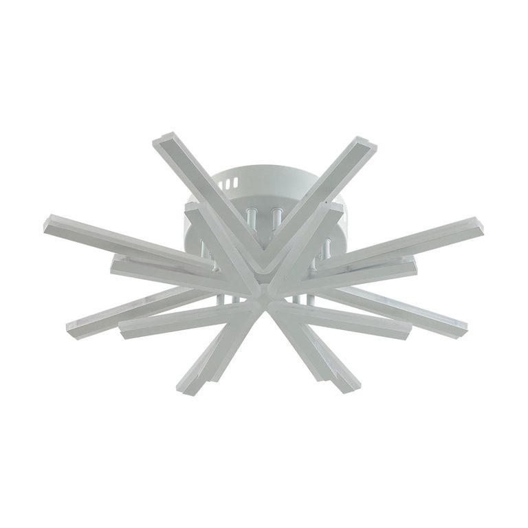 Фото 8029/65CL - 8