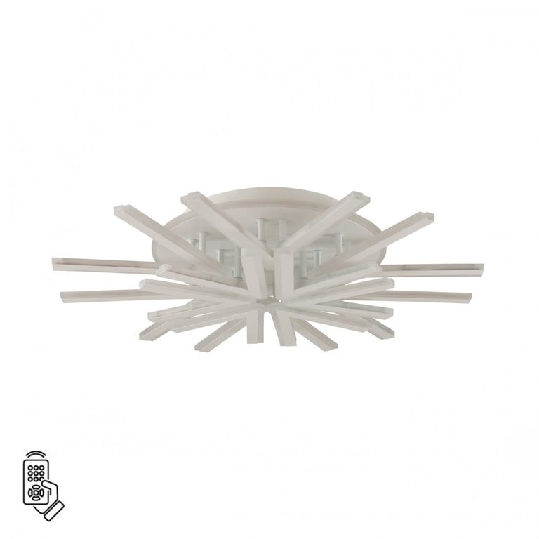 Фото 8029/95CL - 1