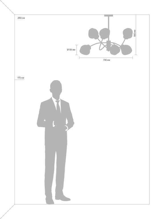 Фото FR8017PL-06MG - 4