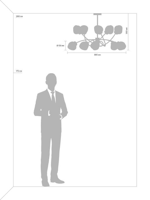 Фото FR8017PL-10MG - 5