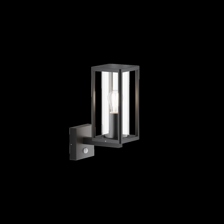 Фото O452WL-01GFSR - 10