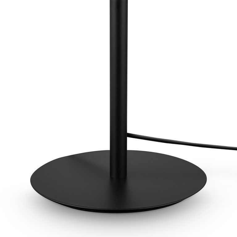 Фото FR1011TL-01B - 6