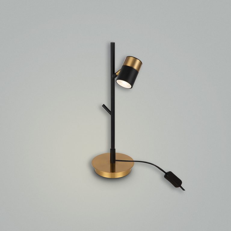 Фото FR5201TL-01B - 20