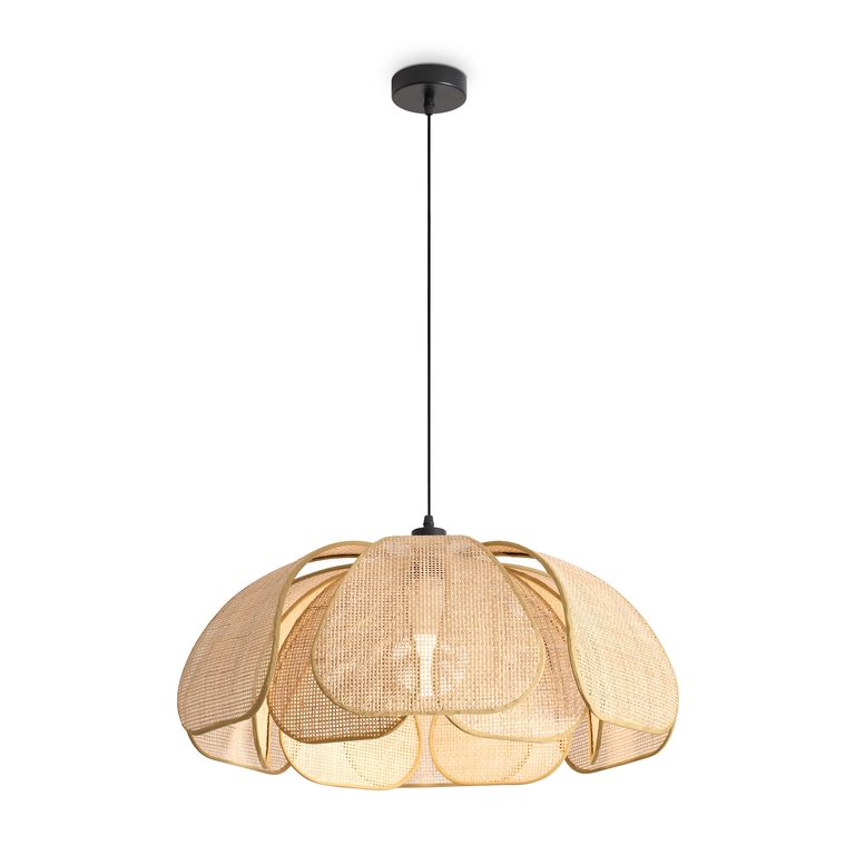 Фото FR5529PL-01B - 1