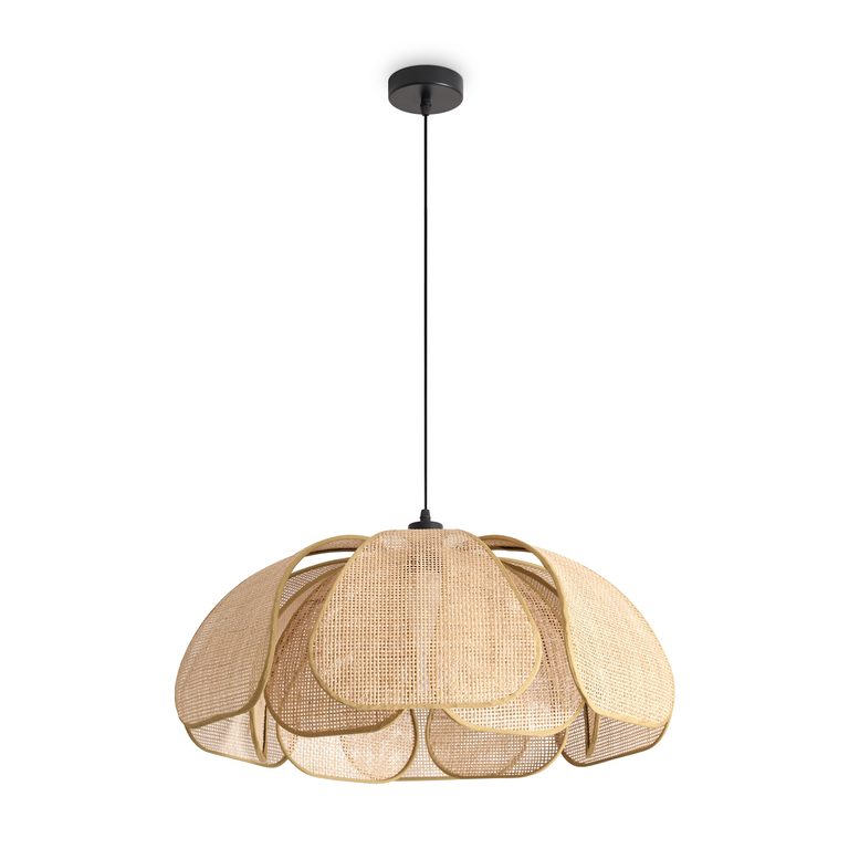 Фото FR5529PL-01B - 3