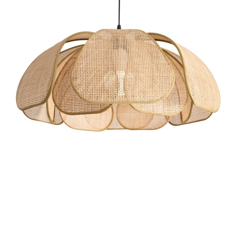 Фото FR5529PL-01B - 6