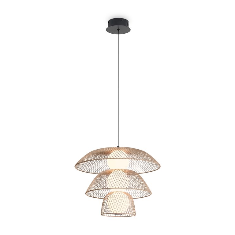 Фото FR5545PL-L5BG - 1