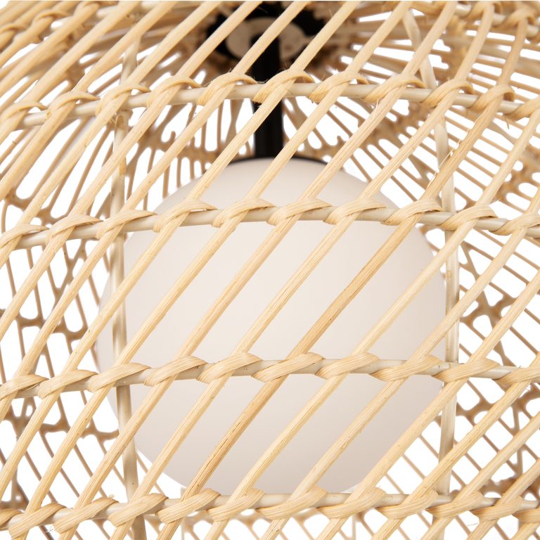 Фото MOD204PL-01BG1 - 14