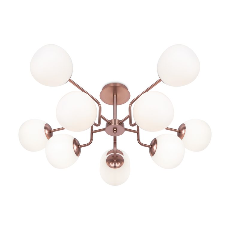 Фото MOD221PL-10G - 5