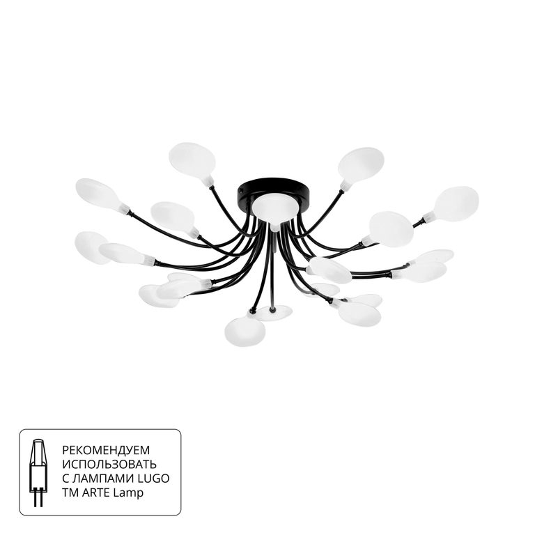 Фото A7423PL-20BK - 1