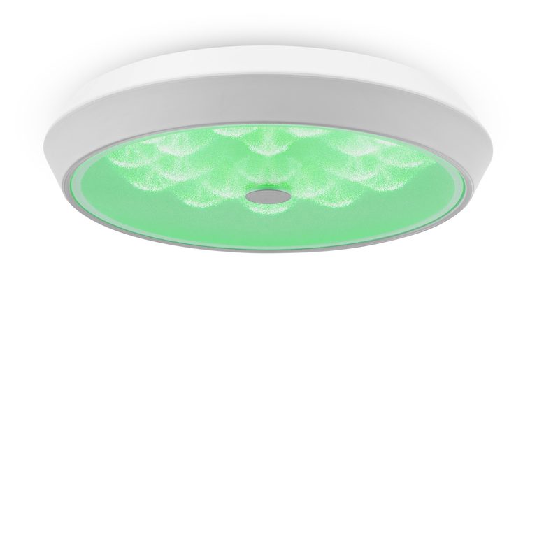 Фото FR10012CL-L24W - 3