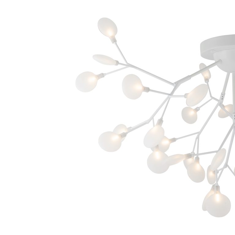 Фото FR5049CL-36W1 - 3