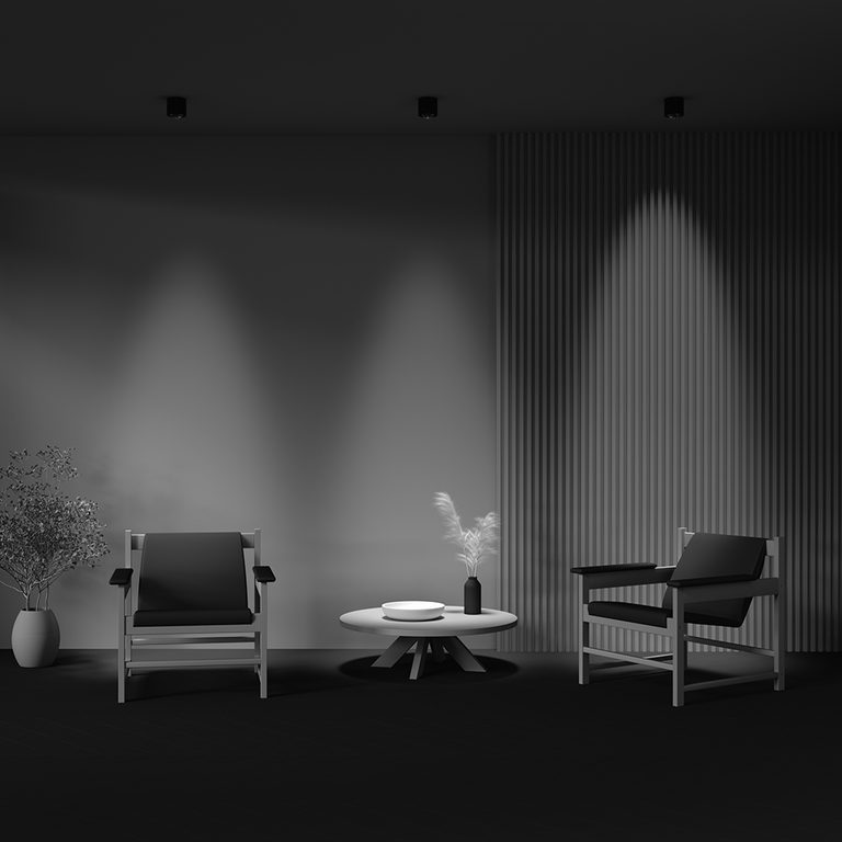 Фото C217CL-15W3K-B - 6