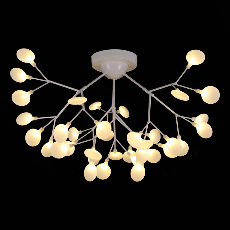 Фото SLE250102-36 - 1