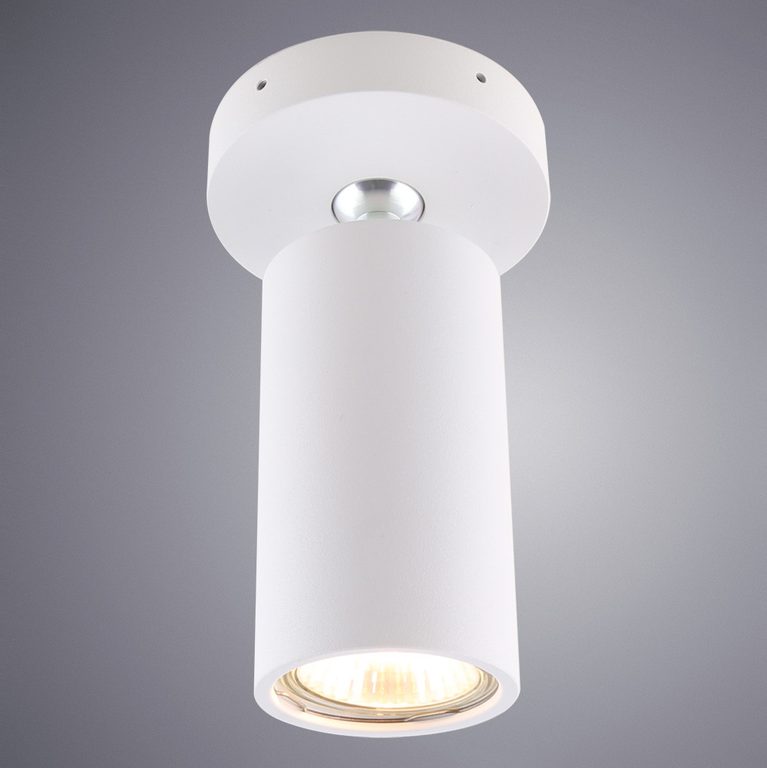 Фото 1968/03 PL-1 - 1