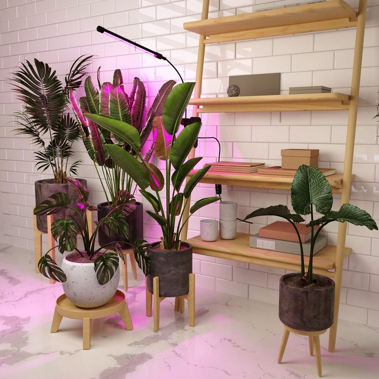 Фото FT-004 - 11