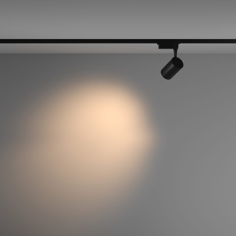 Фото TR003-1-10W3K-M-B - 5