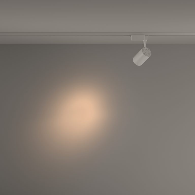 Фото TR003-1-10W3K-S-W - 11