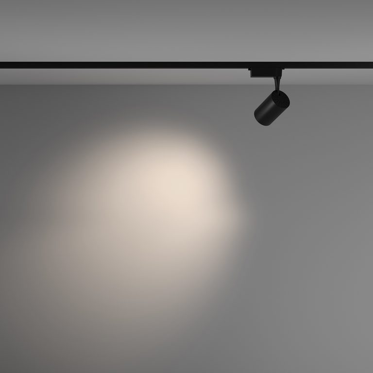 Фото TR003-1-10W4K-M-B - 5