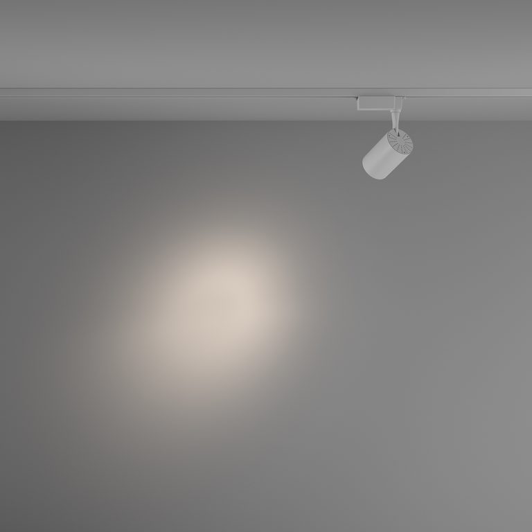 Фото TR003-1-10W4K-S-W - 5