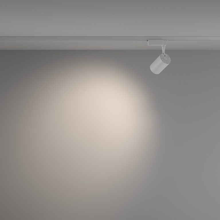 Фото TR003-1-10W4K-W-W - 5