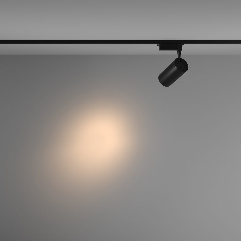 Фото TR003-1-36W3K-S-B - 4