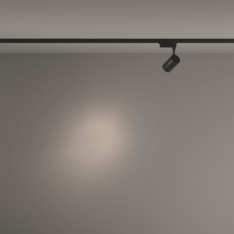 Фото TR003-1-6W4K-S-B - 10