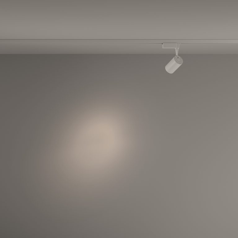 Фото TR003-1-6W4K-S-W - 10