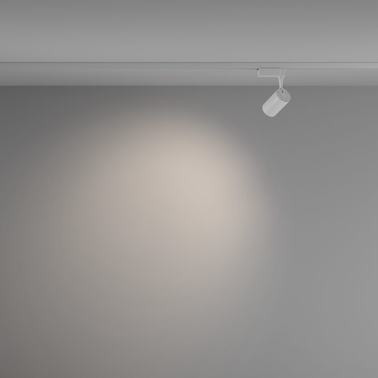 Фото TR003-1-6W4K-W-W - 4