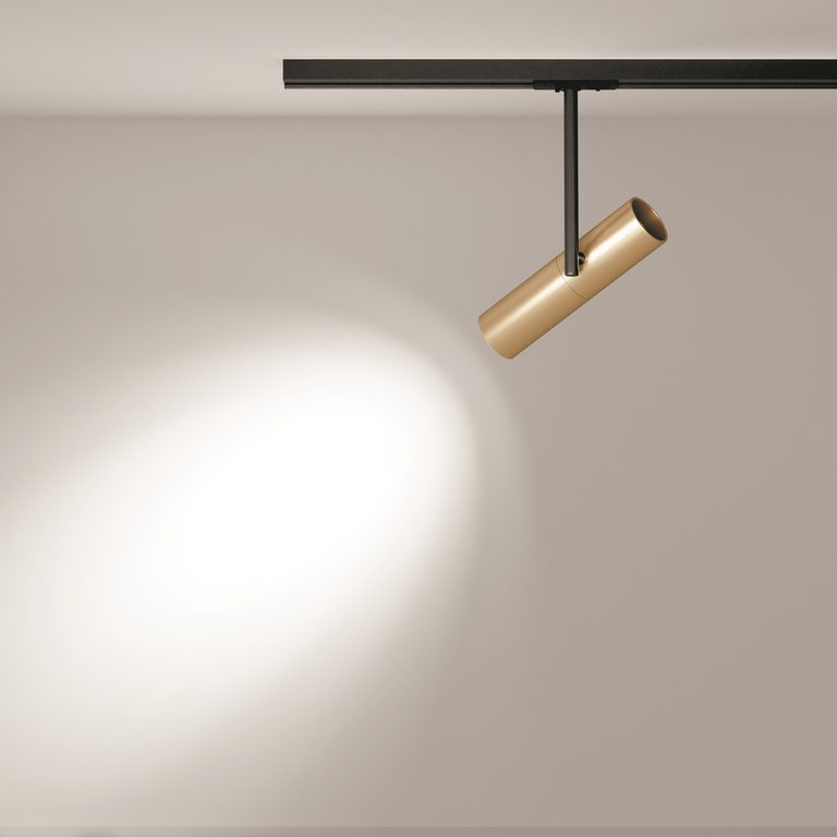 Фото TR005-1-GU10-BG - 13