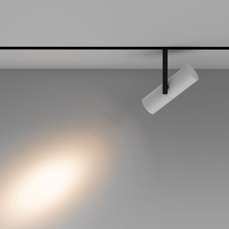 Фото TR005-2-12W3K-BW - 14