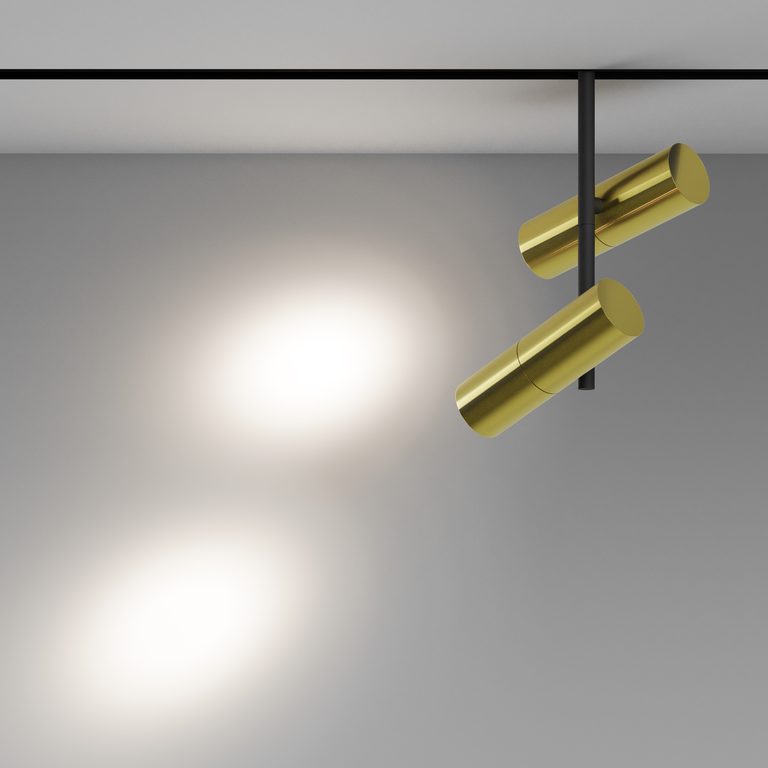 Фото TR005-2-2X12W4K-BBS - 4