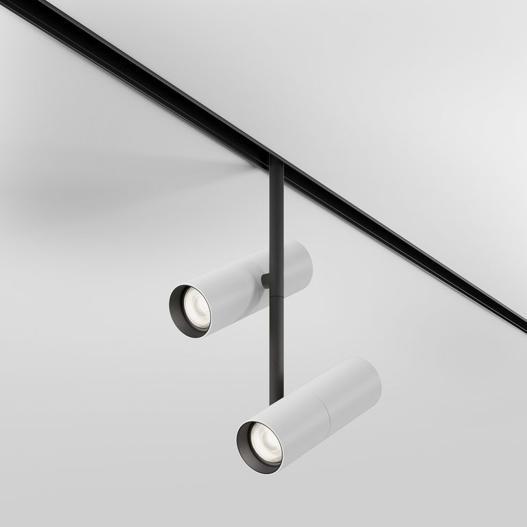 Фото TR005-2-2X12W4K-BW - 3