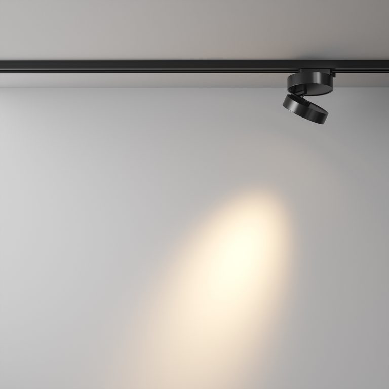 Фото TR006-1-12W3K-B - 6