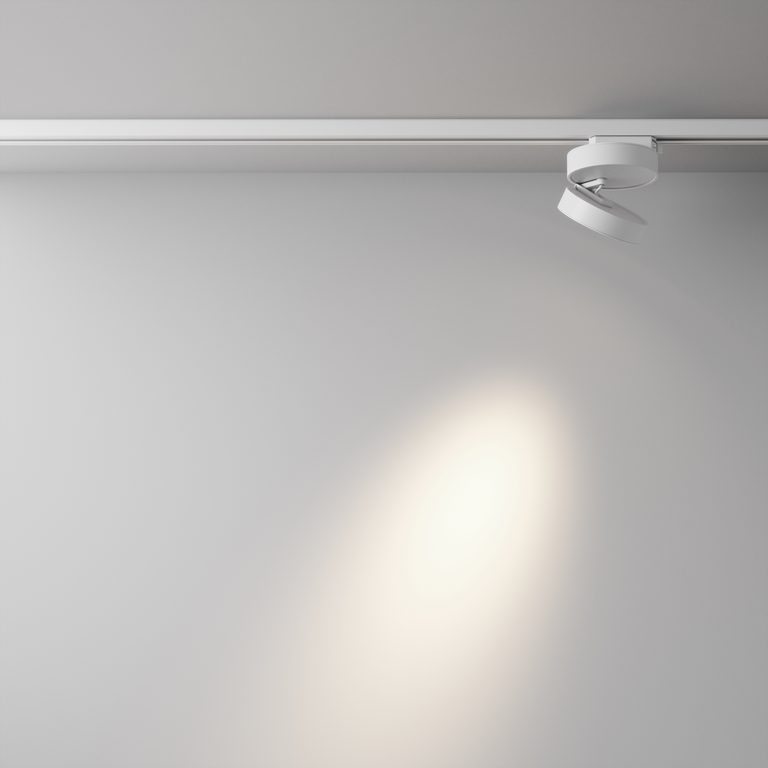 Фото TR006-1-12W3K-W4K - 7